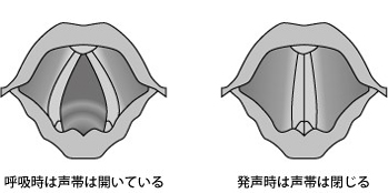 有声咽頭摩擦音