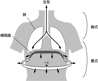 腹式呼吸の必要性